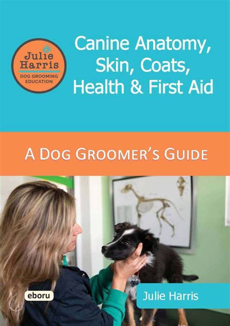 Pet Grooming for Coat Health: A 2025 VS 2050 Comparison