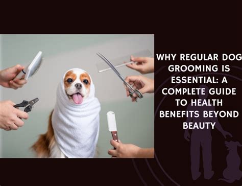 Pet Grooming for Health Conditions: The Essential Guide