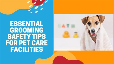 Pet Grooming for Health Conditions VS Neglect: 2025 Outlook