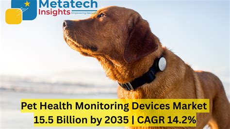 Pet Health Tracking Devices VS Traditional Vet Care: The Future of Animal Healthcare by 2025