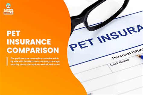 Pet Insurance for Cats: Ultimate Guide to the 2025 Coverage Landscape