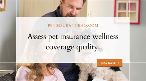 Pet Insurance for Gut Health: Essential Coverage in 2025