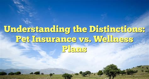 Pet Insurance vs. Wellness Plans: Key Differences