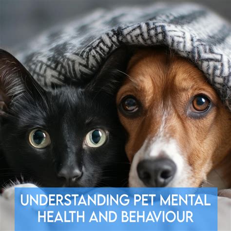 Pet Mental Health Supplements: A Comprehensive Guide to 2025