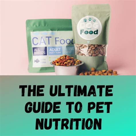 Pet Nutrition and Diet Courses: The Ultimate Guide to 2025