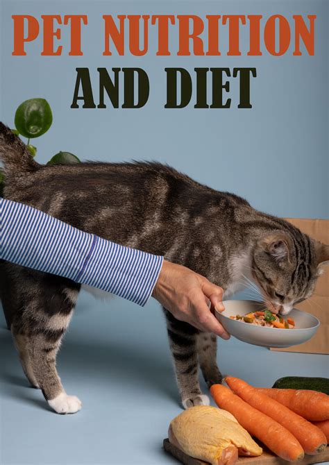 Pet Nutrition and Diet Plans in 2025: VS. the Myths Demystified