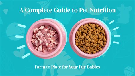 Pet Nutrition for Health Conditions: VS. 2025