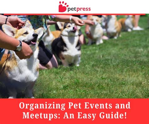 Pet Owner Meetups and Events: The Ultimate Guide for 2025