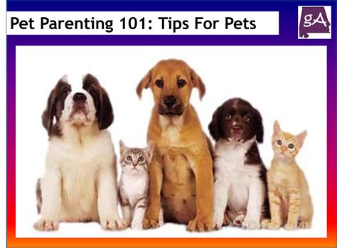 Pet Parenting 101: Unlocking the Surprising Power of Pets for Stress Relief in 2025