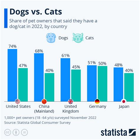 Pet Popularity: