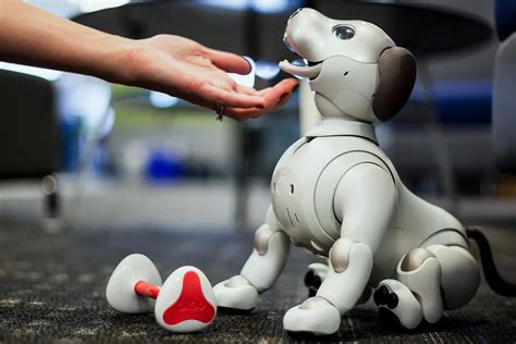 Pet Robots vs. AI Companions: A Futuristic Showdown in 2025