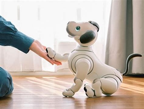 Pet Robots vs. AI Technology: 2025's Ultimate Showdown