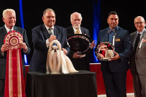 Pet Show and Competition Training: Dominating the Ring in 2025