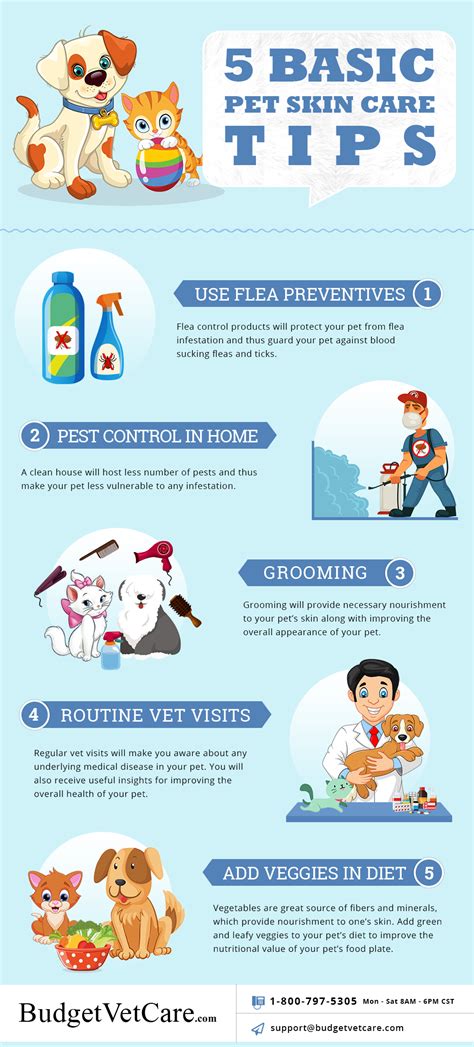 Pet Skin Care VS Health: 10 Essential Tips for 2025