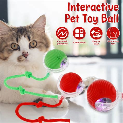 Pet Smart Toys and Interactive Play: A 2025 Comparison