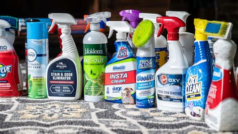 Pet Stain Removal Products Review: The Top 5 in 2025