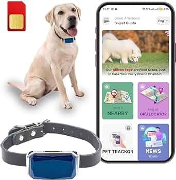 Pet Tracking and Monitoring Devices: Your Gateway to Peace of Mind in 2025