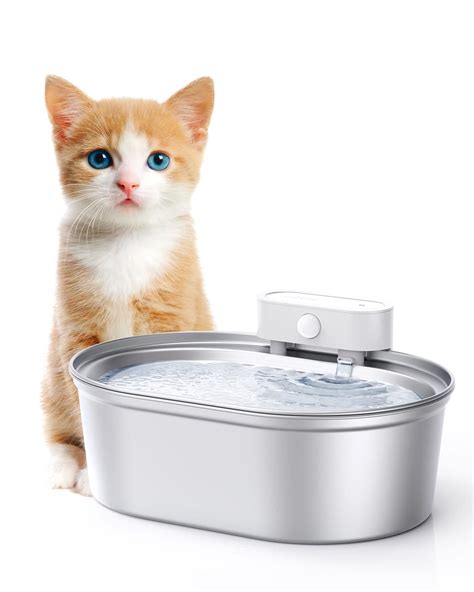 Pet Water Fountain Troubleshooting: Ultimate Guide for 2025