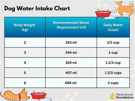 Pet Water Intake and Monitoring: 2025 & Beyond