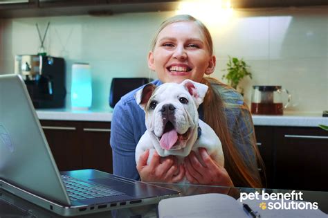 Pet Wellness Plans for Preventative Care in 2025: A Guide to Comprehensive Coverage