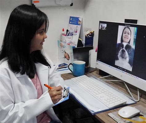 Pet Wellness and Online Consultations: 2025 and Beyond