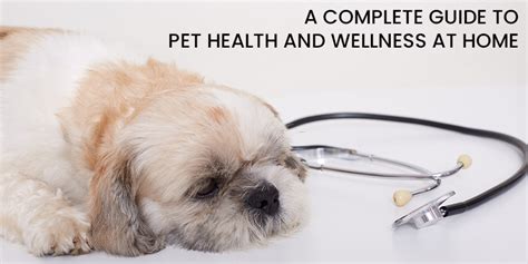 Pet Wellness for Small Animals 2025: VS Comprehensive Guide