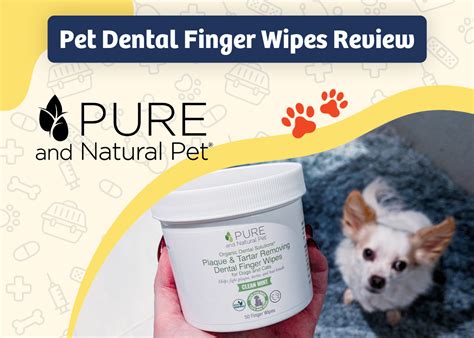 Pet Wipes: Materials and Quality in 2025