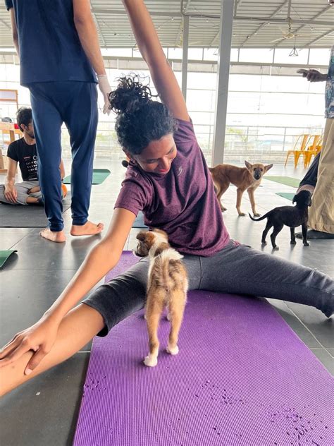 Pet Yoga and Meditation: Rejuvenating Your Mind and Body with Your Furry Companion