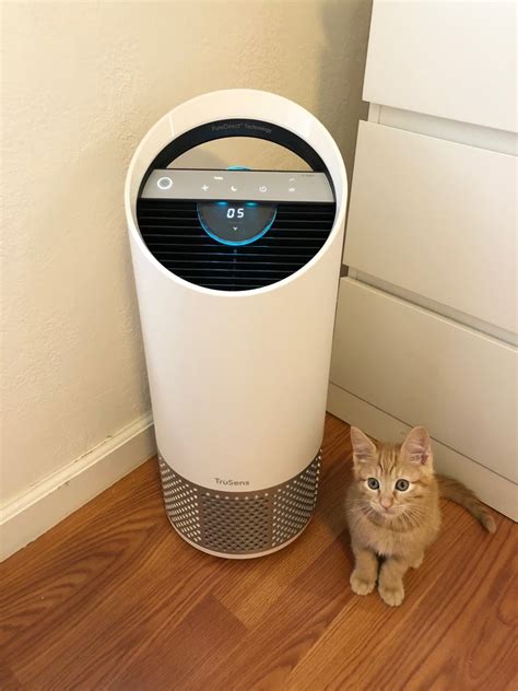 Pet air purifier reviews and ratings