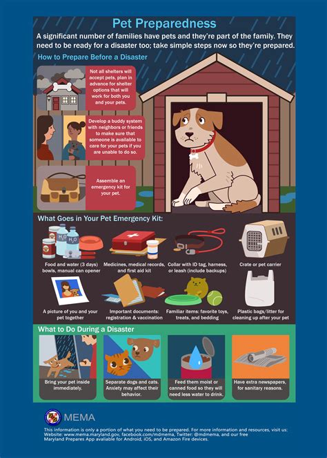 Pet emergency preparedness for natural disasters