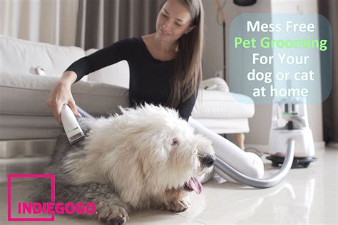 Pet grooming and technology innovation