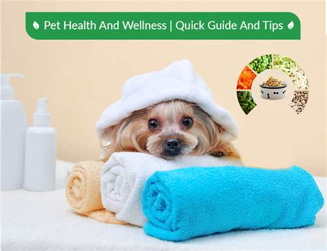 Pet health and wellness education