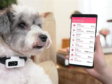 Pet health monitor reviews and ratings