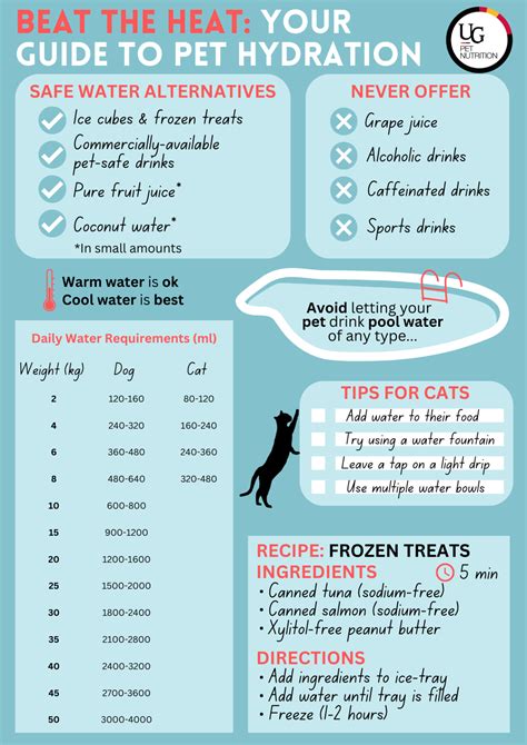 Pet hydration and water quality