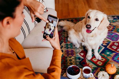 Pet lifestyle social media influencers