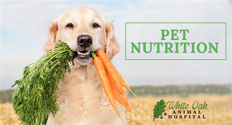 Pet nutrition and education resources