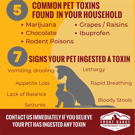 Pet poisoning prevention