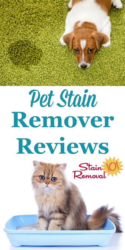 Pet stain removal products review