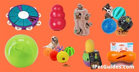 Pet toys and mental stimulation research