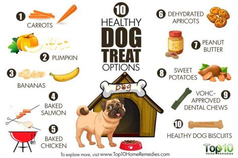 Pet treat health benefits and nutrition