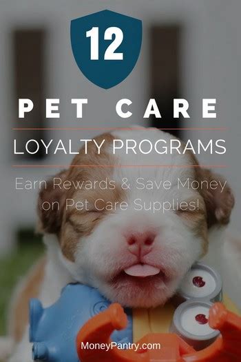 Pet wellness loyalty and rewards programs