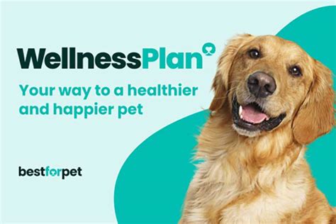 Pet wellness plans for chronic conditions