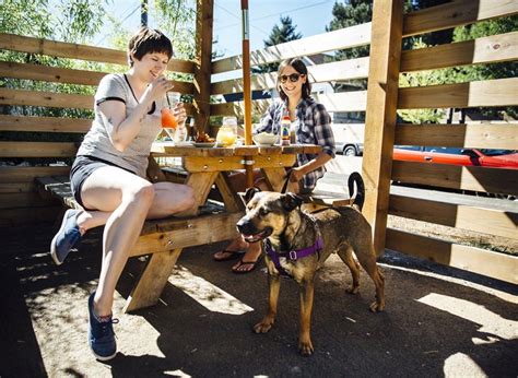 Pet-Friendly Portland: A Comparison of Pet Food and Travel