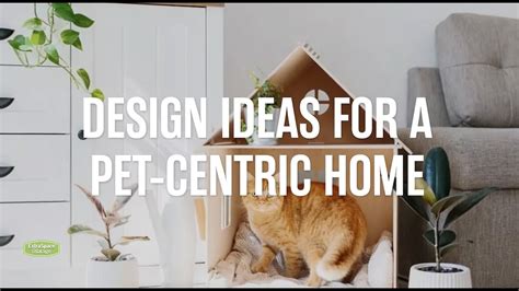 Pet-friendly Homes vs. Pet-Centric Homes: 2025 and Beyond