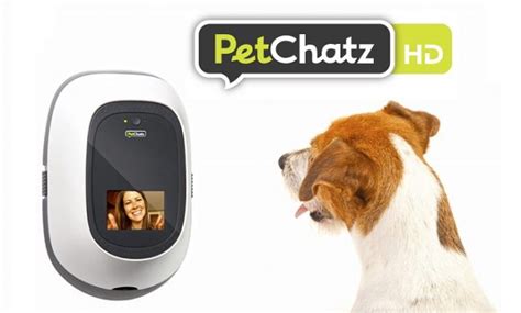 PetChatz Review 2025: The Ultimate Pet Monitoring System