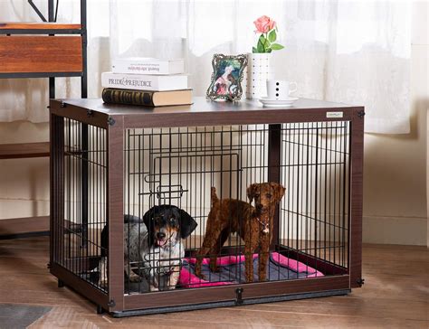 PetCrate Pet Supplies Review: 2025's Best Picks VS the Rest