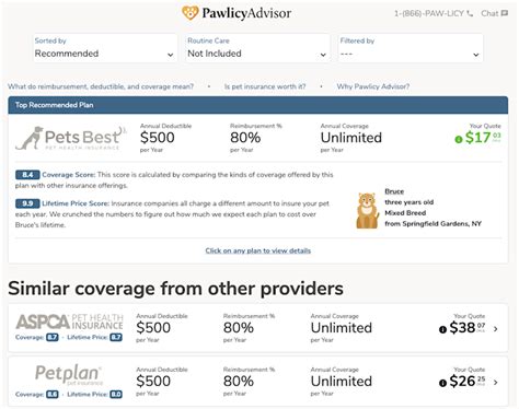 PetFirst vs Pawlicy Advisor: 2025 Pet Insurance Showdown