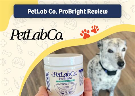 PetLab 2025: Unlocking Longevity for Beloved Pets