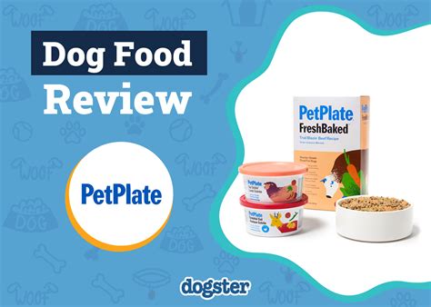 PetPlate Review 2025: Your Guide to Healthy, Convenient Pet Nutrition