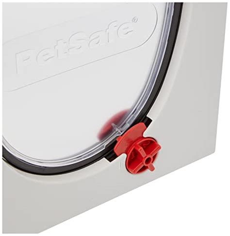 PetSafe Cat Door: Ultimate 2025 Review - Automated Convenience VS Traditional Limits